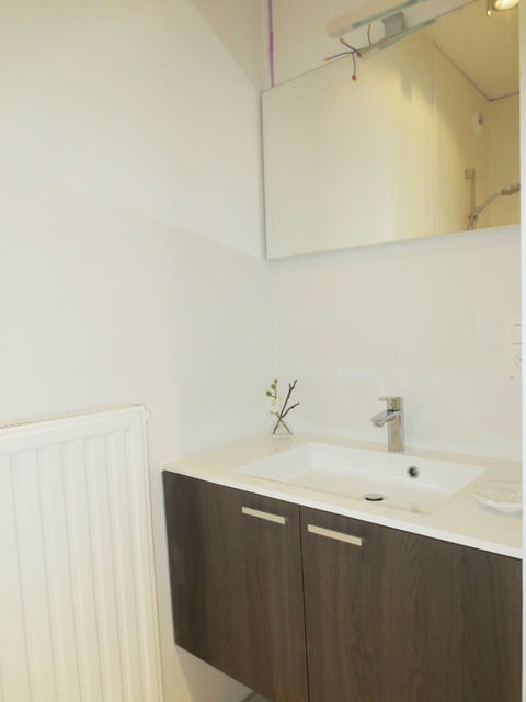1 bed Property For Rent in Brussels,  - 13